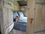 Bed Bed